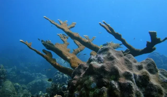 f3ceabe1dd98b55d464a6bb5d1d066a6